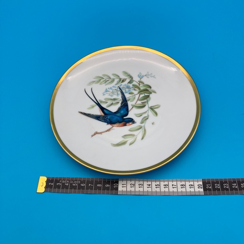 RARE Pre-War Hutschenreuther Selb Audubon Bird Plates - Set of 6 - Circa 1930s - Picture 8 of 9